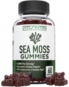Ιρλανδική Θάλασσα Μος Gummies - 3000MG - Formulated w/ Ιρλανδική Θάλασσα Moss, Bladderwrack & Burdock Root, Περιέχουν Ουσιαστική Βιταμίνη & Ορυκτό - Antioxidant-Rich Superfood Supplement, 60 Sea Moss Gummies για Ενήλικες