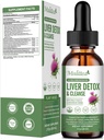 Liquid Drops - Υποστήριξη Liver Cleanse Detox & Επισκευή με Artichoke Milk Thistle Silymarin Extract, Dandelion, Turmeric, Berberine to Renew w/21 Potent Herb-Nutrients-60ml