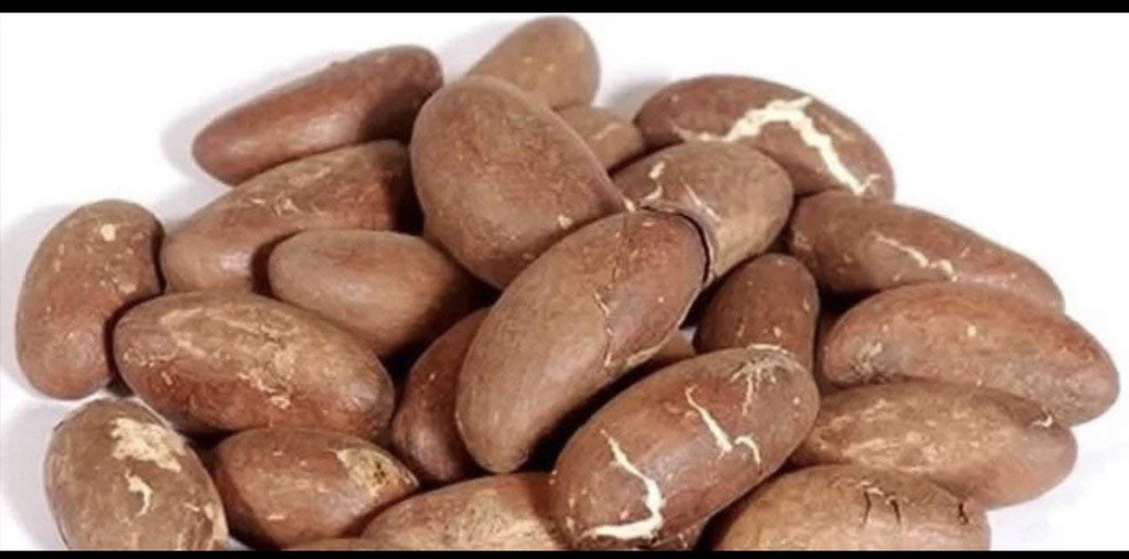 Πικρό Kola Nut Garcinia Kola Cola 1 Lb