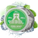 Nootropic Energy Caffeine Pouches • 100mg Caffeine • Alpha GPC • Huperzine A & Essential Vitamins • Sugar-Free • Coconut Fiber Technology • Cool Mint Flavor • 15 Pouches Per Can (Pack of 1)