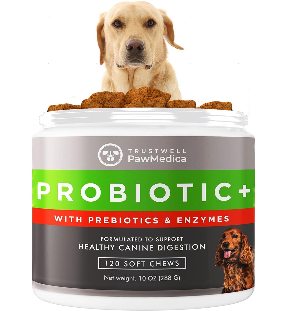 PawMedica Dog Probiotics Chews with Digestive Enzymes, 120 Count | Prebiotic & Probiotic Blend That Helps Support Gut Health, Made in USA