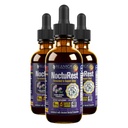 Advanced Sleep Support Supplement - Liquid Delivery για Καλύτερη Απορρόφηση - Μελατονίνη, Μαγνήσιο, Θεανίνη, Βαλεριάνα, Πάθος άνθος, Χαμομήλι & Περισσότερα!