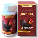 B-12 200 Δισκία για Πουλιά