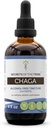 Μυστικά της φυλής Chaga Βάμμα Χωρίς Αλκοόλ, Wildcrafted Chaga (Inonotus obligus) Αποξηραμένο ολόκληρο μανιτάρι (4 FL OZ)