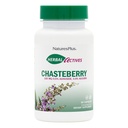 NaturesPlus Herbal Actives Chasteberry - 60 Κάψουλες - Υποστηρίζει εμμηνορροϊκή ευεξία και αναπαραγωγική υγεία - Vegan, χωρίς γλουτένη - 60 εξυπηρετούν