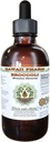 Broccoli Alcohol-Free Liquid Extract, Organic Broccoli (Brassica Oleracea) Seed Glycerite Hawaii Pharm Natural Herbal Supplement 2 oz