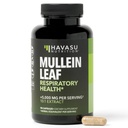 Mullein Leaf Κάψουλες για την αναπνευστική υγεία - 5000mg Extract 10:1 για την υποστήριξη των πνευμόνων και την ανοσοποιητική λειτουργία - 90 Count - Vegan, μη ΓΤΟ κάψουλες - συμπλήρωμα βοτάνων για την καθημερινή ευεξία - 3 μήνες προσφοράς