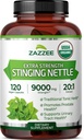 Zazzee USDA Organic Stinging Nattle 20:1 Extract, 9000 mg Δύναμη, 120 Vegan Κάψουλες, 4 μήνες προσφοράς, συμπυκνωμένο, Standardized 20X Extract, Certified Organic, 100% χορτοφάγοι, όλα φυσικά, μη ΓΤΟ