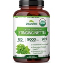 Zazzee USDA Organic Stinging Nattle 20:1 Extract, 9000 mg Δύναμη, 120 Vegan Κάψουλες, 4 μήνες προσφοράς, συμπυκνωμένο, Standardized 20X Extract, Certified Organic, 100% χορτοφάγοι, όλα φυσικά, μη ΓΤΟ