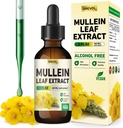 Mullein Drops for Lungs Supplement: Organic Mullein Leaf 30:1 Εκχύλισμα Βάμμα με Chlorophyll - Βότανο συμπλήρωμα Υποστήριξη Lung Cleanse & Αναπνευστική λειτουργία - Μη ΓΤΟ, Vegan - 2 Fl Oz