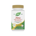 Τρόπος της φύσης Zinc Lozenges με βιταμίνη C & Echinacea, συμπληρώματα ψευδαργύρου για άνδρες και γυναίκες, ανοσοποιητική υποστήριξη *, Wild Berry Flavor, 60 Lozenges (συσκευασία Μαΐου Vary)