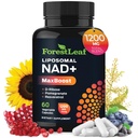 NAD+ συμπλήρωμα - 500mg καθαρό NAD Plus για την ενέργεια, Focus, το δέρμα και την υποστήριξη κατά της γήρανσης - Χωρίς γλουτένη συμπληρώματα NAD για γυναίκες και άνδρες (60 Count (Pack of 1), NAD+ ρεσβερατρόλη)