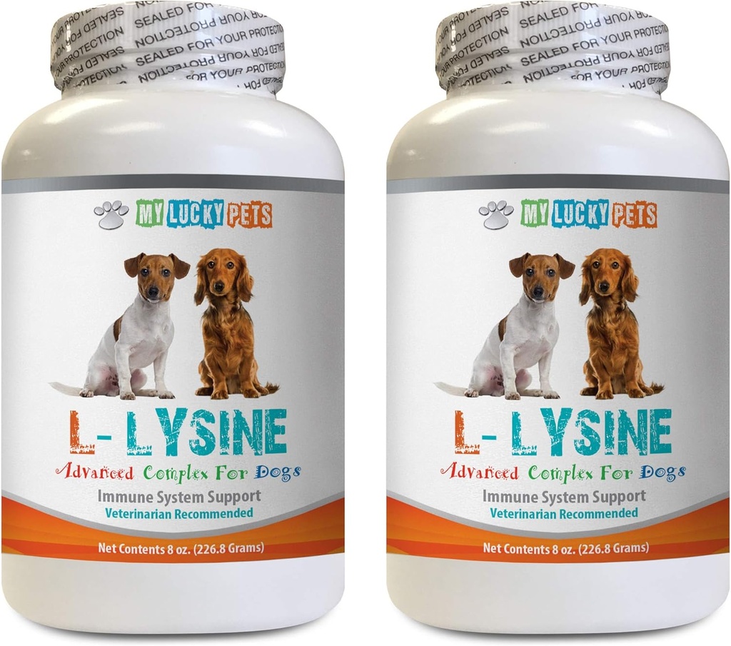 Dog Immune Treats - Σκύλος LYSINE Σκόνη - Pure Powder Form - ανοσοποιητικό σύστημα Υποστήριξη - Vet Συνιστάται - l-λυσίνη για σκύλους - 2 μπουκάλι (16oz 453.6 Grams)