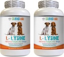 Dog Immune Treats - Dog LYSINE Powder - Pure Powder Form - Immune System Support - Vet Recommended - l-lysine for Dogs - 2 Bottle (16oz 453.6 Grams)