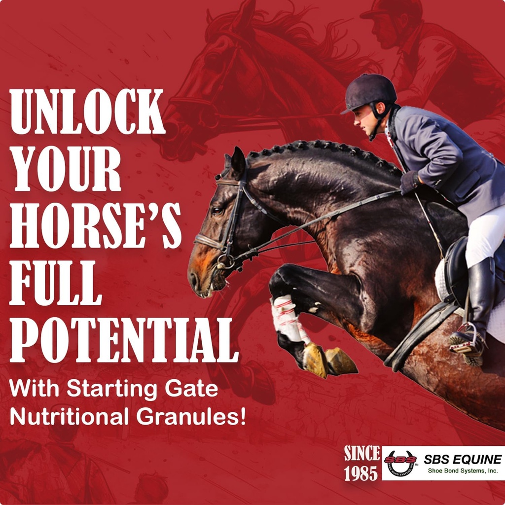 SBS Equine Starting Gate Granules - Horse Stomach Ulcer Treatment & Ulcer Relief, Horse συμπλήρωμα Formula Scoop για τη διατροφή, Perfect Prep ως συμπλήρωμα Hoof (5 Gallon)