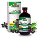 Απάντηση της φύσης Sambucus Elder Berry Extract Syrup 8 Ουγγιά ( 3 Πακέτο) 