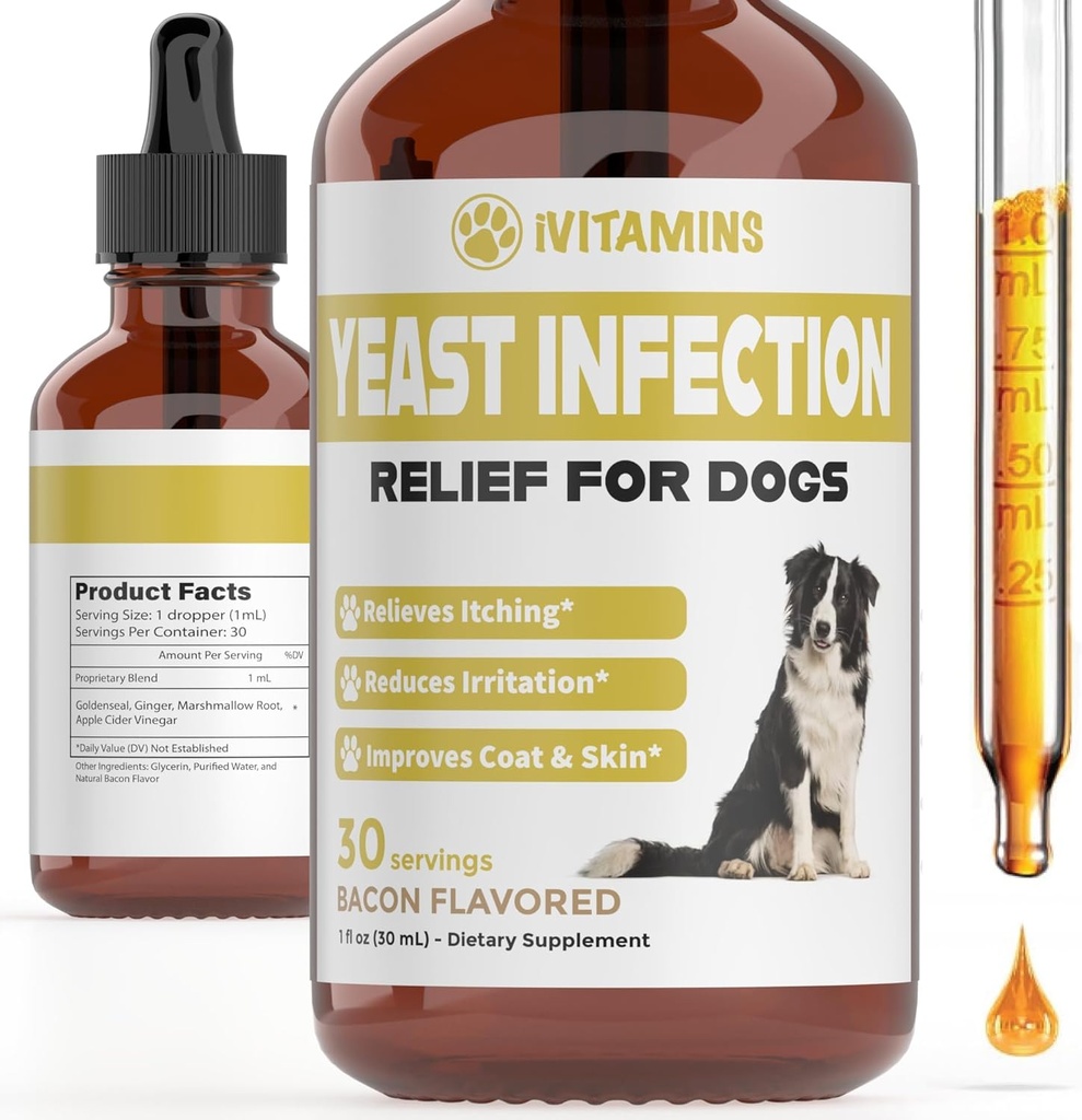 Natural Yeast Infection Treatment for Dogs | Helps to Support Itch & Inflammation Relief, & More | Dog Ear Infection Treatment | Dog Itch Relief | Dog Yeast Ear Infection Treatment | (2 Pack Bacon)