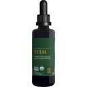 Global Healing Center - Organic Tulsi (Holy Basil Leaf Extract) Vegan Liquid Supplement Drops (Organic Basil) - Βιοδιαθέσιμο βότανο για φυσιολογική αντίδραση στο στρες, φυσική ενέργεια & ανοσοποιητική υποστήριξη