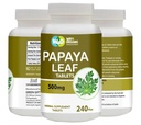 Papaya Leaf Extract Capsules (Tablets) - 500 mg 240 Χάπια, Υποστήριξη Αιμοπετάλια Ανοσία & Θήκη - 60 ημέρες Προμήθεια