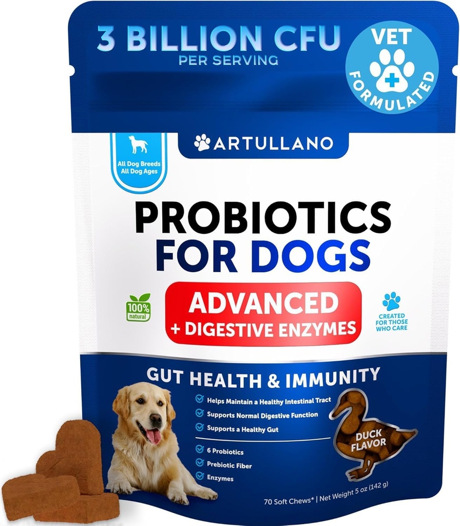 Probiotics for Dogs - Υποστηρίξτε Gut Υγεία, Ichy Δέρμα, Αλλεργίες, Ανοσία, Ισορροπία Yeast - Προβιοτικά Σκύλος και Digestive Ένζυμα με Πρεβιοτικά - Μειώστε Διάρροια, Αέριο - 70 Προβιοτικά Μάσημα για Σκύλους