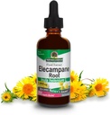 Nature's Answer Elecampane Root 2 oz. Low Organic Alcohol 2000mg - Herbal Supplement - Non GMO & Kosher - Low Alcohol Gluten Free 100% Vegan - 2 FL Oz