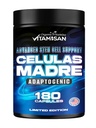 VITAMISAN Celulas Madres 180 Κάψουλες - Μπλε Άλκη - Μη ΓΤΟ -Γλουτένη Δωρεάν AFA -Celula Madre συμπλήρωμα - Μάνα Beta Glucan Lion υποστηρίζει υγιή γήρανση & προωθεί την ανοσοποίηση Spirulina.
