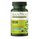 Banyan Botanicals Neem Tablets – Organic Neem Leaf (Azadirachta Indica) – Υποστηρίζει τη φυσική αποτοξίνωση, το υγιές δέρμα, και την ανοσοποιητική υγεία * – 90 δισκία – Μη ΓΤΟ Βιώσιμα πηγάζει Vegan