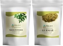 HERBAL HILLS Neem Leaf Powder και Gurmar Powder Gymnema Sylvestre Pack των 2 Combo