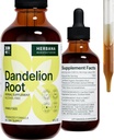 Dandelion Root 4 fl oz Liquid Extract - Φυσικό συμπλήρωμα βοτάνων για τον καθαρισμό, την πέψη λειτουργία και την ανοσία - Organic Taraxacum officinale - Οικογενειακό μέγεθος - πτώση υψηλής ισχύος - 90-Ημέρες προσφοράς