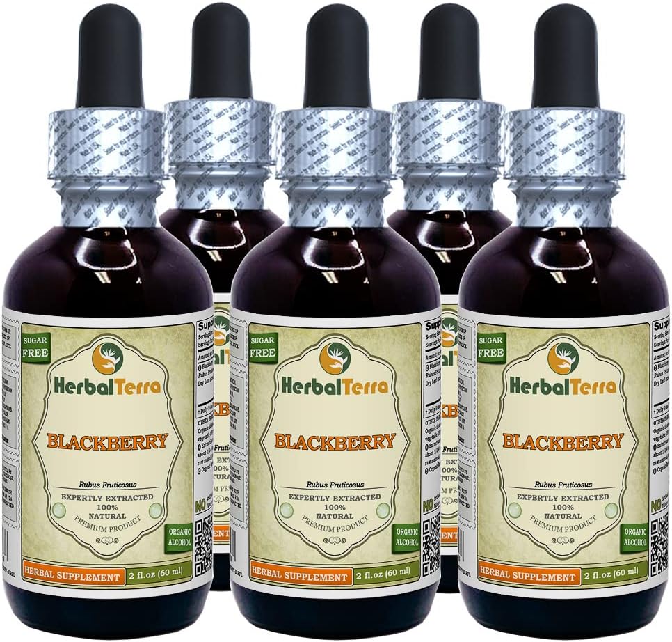 BlackBerry (Rubus fruticosus) Βάμμα, Βιολογικά Αποξηραμένα Φύλλα Υγρό Εκχύλισμα (Όνομα: HerbalTerra, Περήφανα Κατασκευασμένο στις ΗΠΑ) 5x2 fl.oz (5x60 ml)