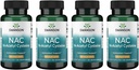 Swanson NAC - N-Acetyl Cysteine - Supplement 600 mg 100 Capsules (4 Pack)