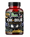 Βότανα βότανο βότανο Bile με Digestive Enzymes & Pre/Probiotics 90 Veg Caps Cholic Acid, Inulin, Betaine HCl, Peppermint, Bromelain Healthy Digestion & Nutrient Abvorvation - Bile Salts Συμπλήρωμα