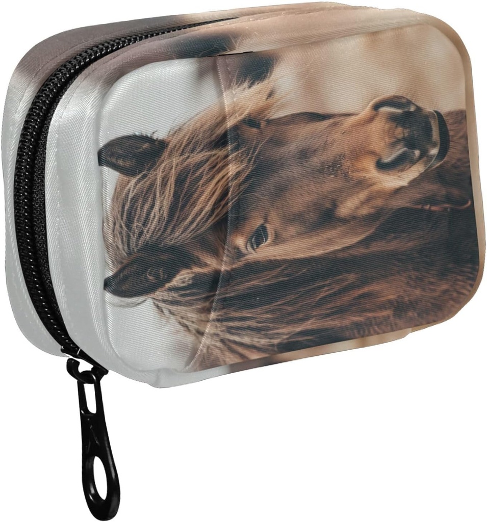 Fustylead Brown Mane Horse Close Up Pill Organizer Case with Zipper 2 φορές την ημέρα για τη βιταμίνη και συμπλήρωμα, 7 ημέρες Travel Organizer Ιατρική περίπτωση
