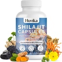 Shilajit Pure Himalayan 6000MG, Shilajit Resin συμπλήρωμα για άνδρες & γυναίκες 60% Fulvic Acid Shilajit κάψουλες με Ashwaganhda, Maca, Rhodiola Rosea για ενέργεια, δύναμη, ασυλία, 120 κάψουλες