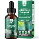 Organic Lymphatic Support Drainage Drops - Herbal Lymphatic Cleanse and Immune Support Supplement with Organic Echinacea Goldenseal & Red Clover Extract - Vegan Non GMO and Alcohol Free - 2 Fl Oz