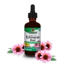 Απάντηση της φύσης Echinacea Extract 