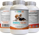 Probiotic Relief for Dogs - Probiotics Σκύλος - Κακή αναπνοή και διέλευση αερίου Λύση - Στοματική υγεία - Σκύλος acidophilus - 1 φιάλη (60 θεραπείες)