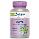 SOLARAY Olive 250mg - Olive Leaf Extract Κάψουλες με 22% Oleuropein, Plus Lemon Balm - Πολυφαινόλες συμπλήρωμα για την υποστήριξη ευεξίας - Vegan, 60-Day Εγγύηση, Εργαστήριο Επαληθευμένο - 120 μερίδες, 120 VegCaps
