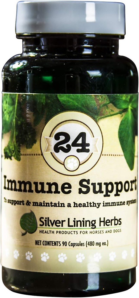 Silver Lining Herbs Dog Immune Support Supplement – Φυσικές Βιταμίνες βοτανικού σκύλου – Προάγει την Ισχυρή Ανοσολογική Άμυνα, Ζωτικότητα & Συνολική Ευεξία – 90 Κάψουλες