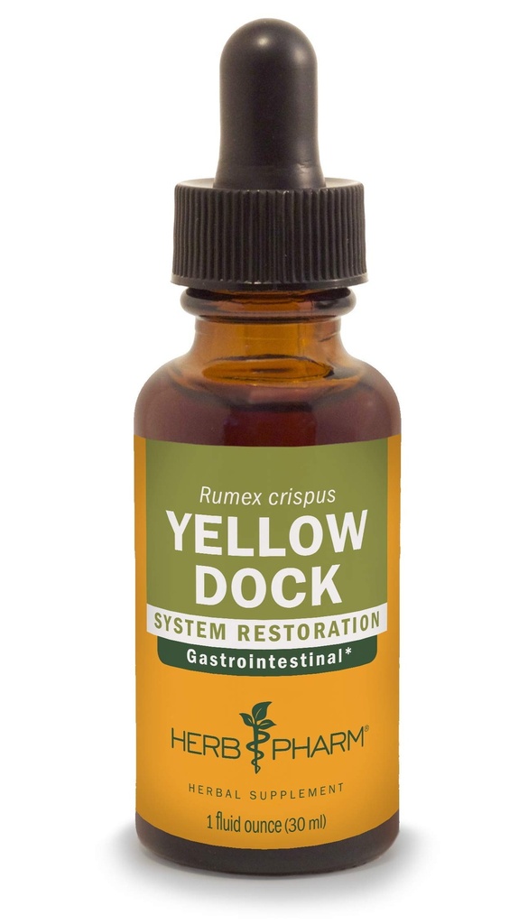 Herb Pharm Yellow Dock Liquid Extract for Digestive System Support - 1 Ounce
