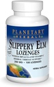 Πλανητικά βότανα Slippery Elm Lozenges, 100 κόμης