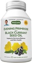 ANDREW LESSMAN Evening Primrose and Black Currant Seed Oil 360 Softgels - Soothes Physical Disfort and Mood Swings Λόγω εμμηνορροϊκού κύκλου, με Gamma-Linolenic, Omega-6 Λιπαρά Οξέα, Χωρίς Πρόσθετα