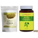 HERBAL HILLS Gurmar Τσάι σε σκόνη και κάψουλες Karela Συσκευασία 2 Combo