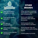 Holistic Bin Tongkat Ali Extract Powder – Premium Longjack Συγκομιδή από τα δάση Sumatran – Herbal – Χωρίς πληρωτικά ή συντηρητικά – 50 γραμμάρια