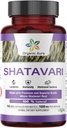 Οργανικές κάψουλες Aura Shatavari.150 κάψουλες Veg. 1500 mg ανά υπηρεσία. Το Εξαιρετικό Βότανο Υποστηρίζει την Αναπαραγωγική και Ανοσοποιητική Υγεία και ως συμπλήρωμα Γαλουχίας. 100% Φυσικό βοτανικό συμπλήρωμα.
