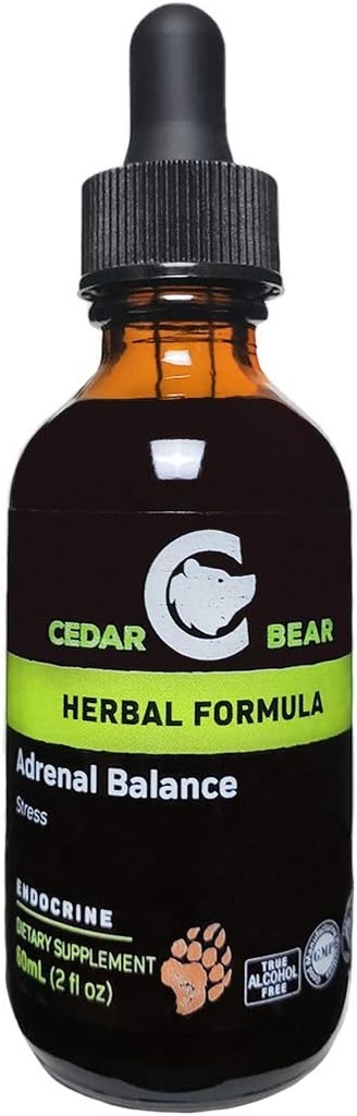 Cedar Bear Adrenal Balance - Liquid Herbal Supplement with Adaptogens That Fights Fatigue, Manage Stress and Increase Energy 2 fl oz / 60 ml (1 Μονάδα)