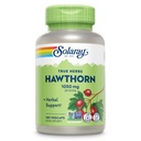 SOLARAY Hawthorn κάψουλες καρπού 1050 mg - Καταπραϋντική βοτανική υποστήριξη - συμπλήρωμα καρπού Hawthorne για τη συνολική υποστήριξη ευεξίας - ολόκληρο μούρο, Vegan, μη GMO, 60 ημέρες εγγύηση, 90 υπηρεσίες, 180 VegCaps