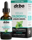 Χλωροφύλλη Υγρές σταγόνες σώματος Detox - Vegan Υγρό Chlorophyl Drops Odor Cleanse συμπλήρωμα, ενέργεια & ανοσοποιητική υποστήριξη, εσωτερικό αποσμητικό, Αποσμητικό σώματος συμπλήρωμα - Φυσικό αποσμητικό νερό 2 oz