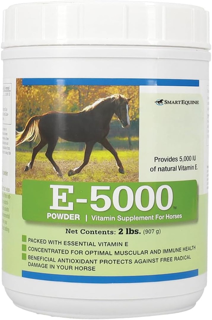 E5000 σε σκόνη 