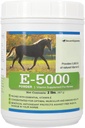 E5000 Powder | Vitamin E for Horses | Antioxidant Support with Horse Vitamin E Supplement | Concentrated for Optimal Muscle & Wellness Support | 2 lb